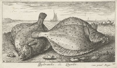 Dos sollas en la playa Quadratulus. Le Quarlet. (título en el objeto) Peces y otras criaturas marinas: tercera serie de agua salada (título de la serie) Poissons de mer (título de la serie) de Albert Flamen