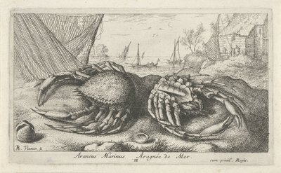 Dos centollos cerca de una red de pesca Araneus Marinus Aragnée de Mer (título sobre el objeto) Peces y otras criaturas marinas: segunda serie de agua salada (título de la serie) Poissons de mer (título de la serie) de Albert Flamen