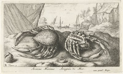 Dos centollos cerca de una red de pesca Araneus Marinus Aragnée de Mer (título sobre el objeto) Peces y otras criaturas marinas: segunda serie de agua salada (título de la serie) Poissons de mer (título de la serie) de Albert Flamen