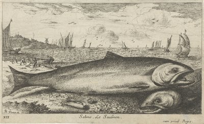 Dos salmones en la playa Salmo. Le Saulmon (título sobre objeto) Peces y otras criaturas marinas: primera serie de agua salada (título de la serie) Diverse Especes de Poissons de mer (título de serie) de Albert Flamen