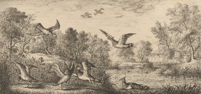 El Avefría: Libro de Aves, 1655-1660 de Albert Flamen