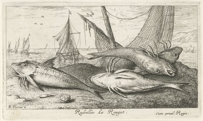 Cuatro salmonetes en la playa Rubellio Le Rouget. (título en el objeto) Peces y otras criaturas marinas: segunda serie de agua salada (título de la serie) Poissons de mer (título de la serie) de Albert Flamen