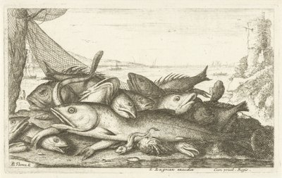 Pesca del cangrejo ermitaño Diferentes especies de peces (título de la serie) Diverse Especes De Poissons tant de Mer, que d