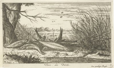 Cucarachas en la orilla del río Vero. Le Verón. (título en el objeto) Peces y otras criaturas marinas: segunda serie de agua dulce (título de la serie) Seconde partie de Poissons d