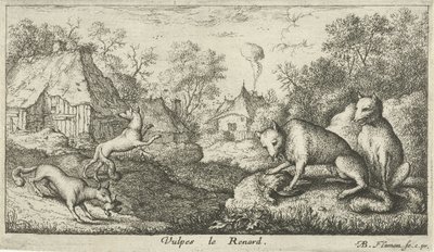 zorros Vulpes le Renard (título sobre objeto) Diferentes especies animales (título de la serie) de Albert Flamen