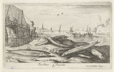 Seis olores en la playa Eperlano. L´Esperlan. (título en el objeto) Peces y otras criaturas marinas: segunda serie de agua salada (título de la serie) Poissons de mer (título de la serie) de Albert Flamen
