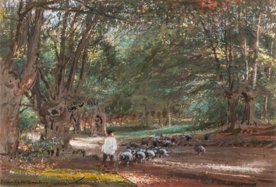 Burnham Beeches (acuarela y acuarela corporal) de Albert Goodwin