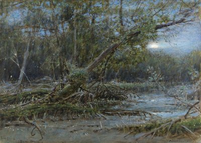 Luciérnagas, Demerera, c.1902 de Albert Goodwin