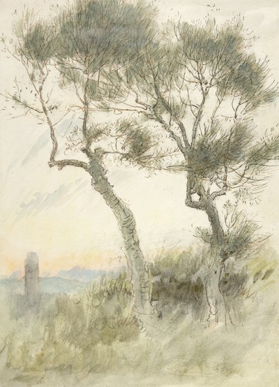 Estudio de Dos Árboles de Albert Goodwin