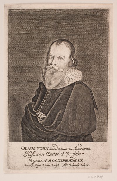 Ole Worm de Albert Haelwegh