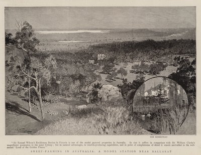 Cría de ovejas en Australia, una estación modelo cerca de Ballarat de Albert Henry Fullwood