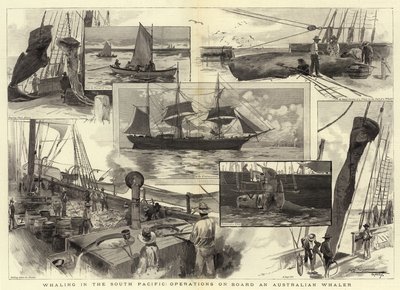 Caza de ballenas en el Pacífico Sur, operaciones a bordo de un ballenero australiano de Albert Henry Fullwood