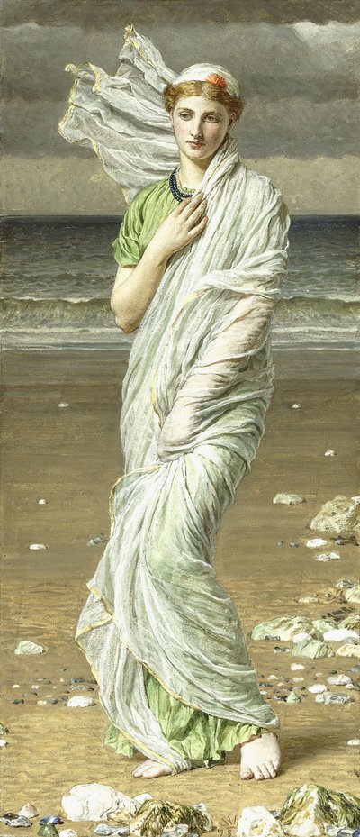 Conchas marinas, 1875 de Albert Joseph Moore