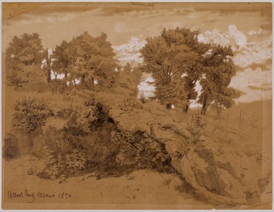Estudio de paisaje de Italia de Albert Lang