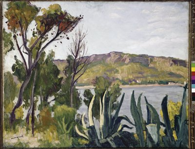 Paisaje con agave. (óleo sobre lienzo de Albert Marquet