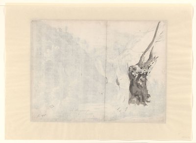 Bosquejo de un árbol de Albert Meyering
