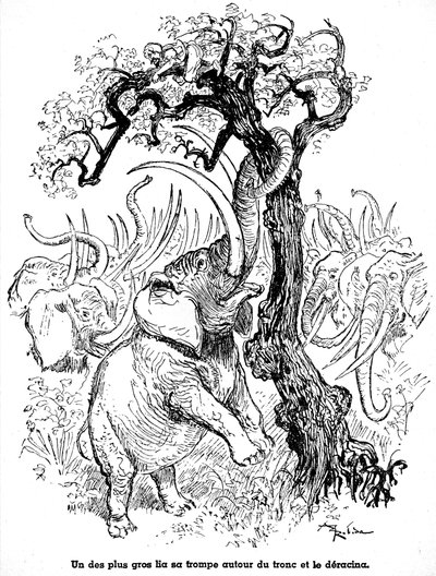 Sindbad el marino (Simbad) - cuento de las mil y una (1001) noches - ilustración de un libro de 1948 (edición Fortin, Maravillosa colección de imágenes de la infancia) que cuenta sus aventuras - ilustración de Albert Robida (1848 - 1926) - Séptimo viaje: A de Albert Robida