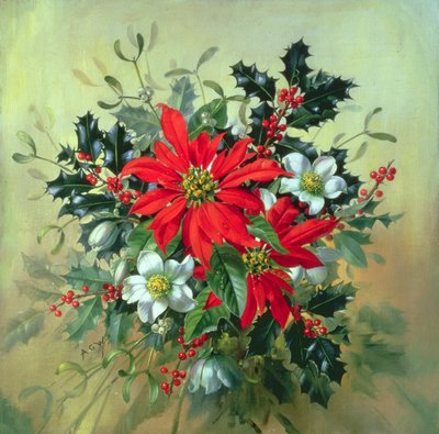 Arreglo navideño con acebo, muérdago y otras flores de invierno AB130 de Albert Williams