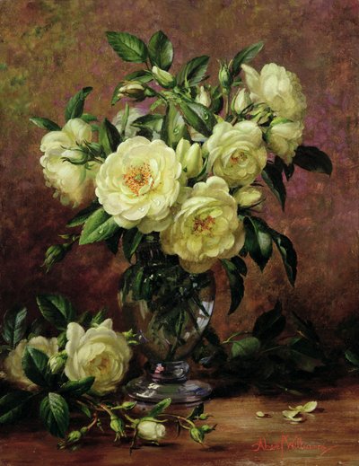 Rosas blancas, un regalo del corazón de Albert Williams