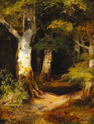Carretera forestal de Albert Zimmermann