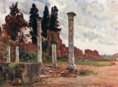 Biblioteca de la Casa de Domiciano en el Palatino de Alberto Pisa