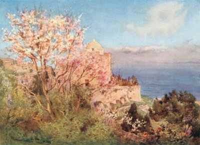 S. Giovanni Battista, Monte San Giuliano de Alberto Pisa