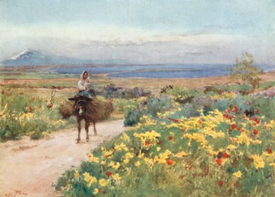Primavera en Siracusa. Vista de Etna y Thapsos desde el sitio de Tyche de Alberto Pisa