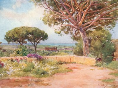 El Templo de la Concordia, Girgenti, desde S. Nicola de Alberto Pisa