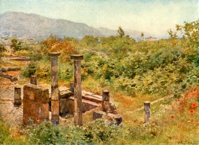 Vista desde Pompeya de Alberto Pisa
