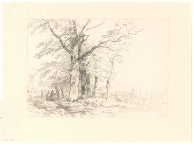 Estudio de los robles en un paisaje de Albertus Brondgeest