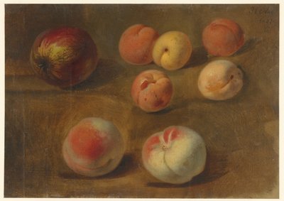 Bodegón con manzana, melocotones y albaricoques de Albertus Steenbergen