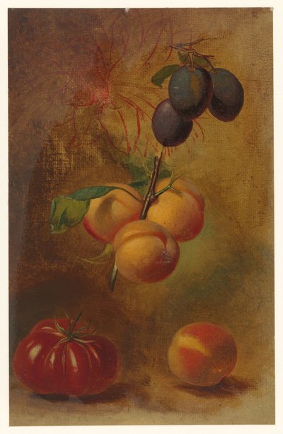 Bodegón con ciruelas, albaricoques y tomate de Albertus Steenbergen