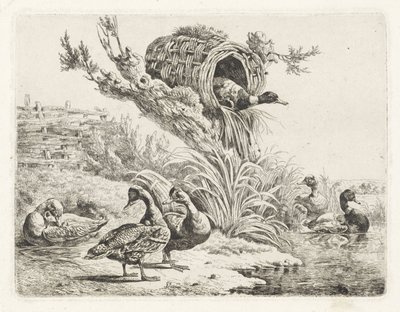Patos en un paseo marítimo de Albertus Verhoesen