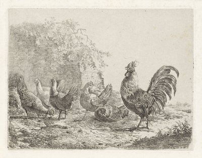 Gallo con cinco pollos de Albertus Verhoesen