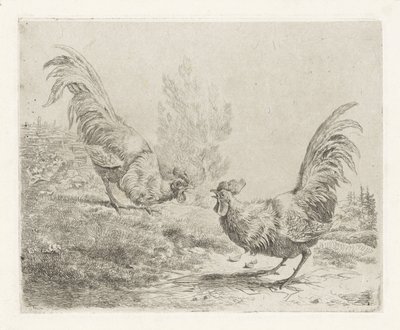 Dos gallos de pelea de Albertus Verhoesen