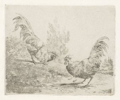 Dos gallos de pelea de Albertus Verhoesen