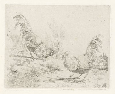 Dos gallos de pelea de Albertus Verhoesen