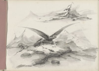 Águila volando sobre una costa con montañas de Albertus van Beest