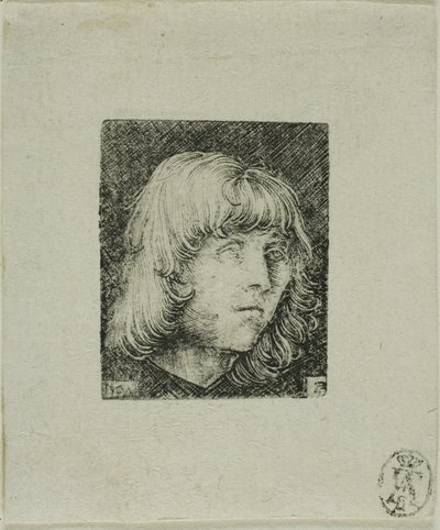 Cabeza de un joven de Albrecht Altdorfer