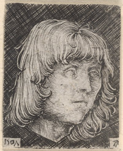 Cabeza de un joven de Albrecht Altdorfer