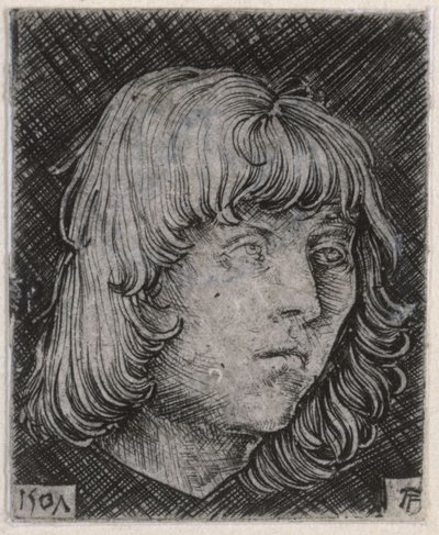 Cabeza de un joven de Albrecht Altdorfer