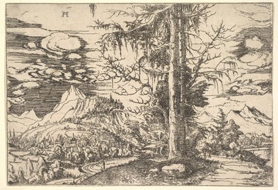 Paisaje con un Abeto Doble de Albrecht Altdorfer
