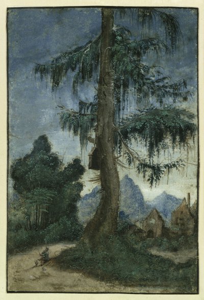 Paisaje con un abeto de Albrecht Altdorfer