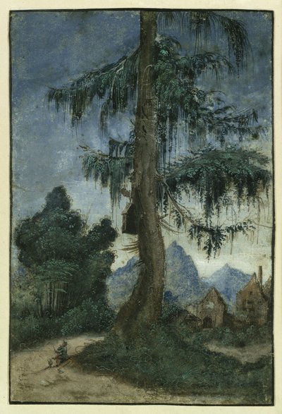  de Albrecht Altdorfer