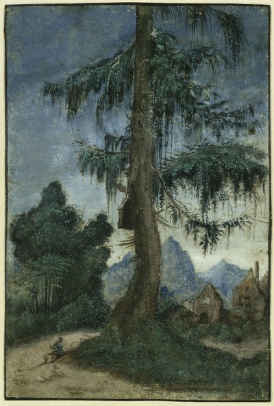  de Albrecht Altdorfer