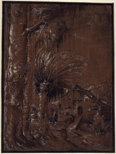 Paisaje con molino de agua de Albrecht Altdorfer