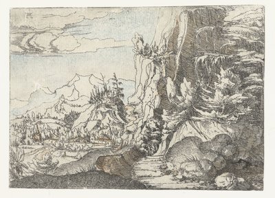 Paisaje con pared de roca oscura de Albrecht Altdorfer