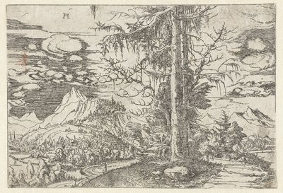 Paisaje con abeto doble de Albrecht Altdorfer
