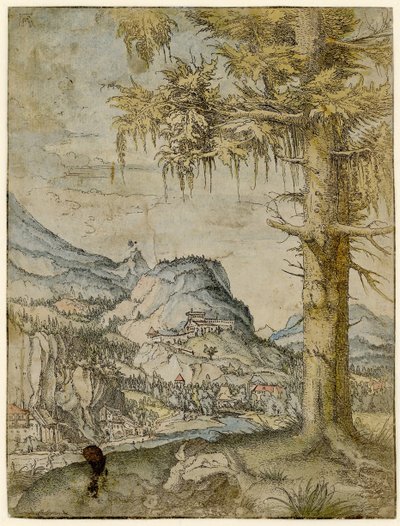Gran abeto, ca. 1517-1520 de Albrecht Altdorfer
