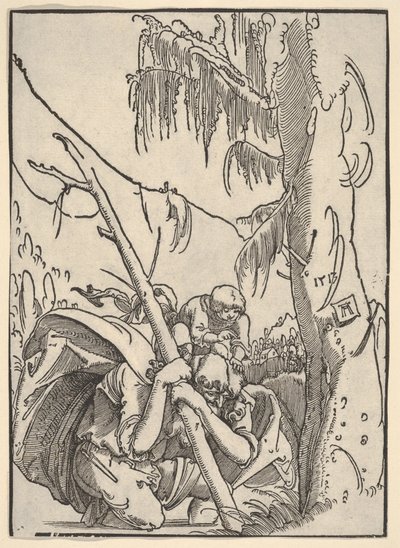  de Albrecht Altdorfer